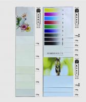 C19美术贴纸、C20魔幻星空、C21魔幻星月