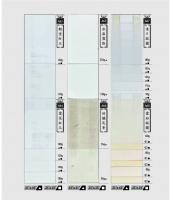 A63輕塗白玉、A64雪芙白玉、A65冰晶雪烙、A66回韻乳香、A67進口描圖、A68雪紛描圖